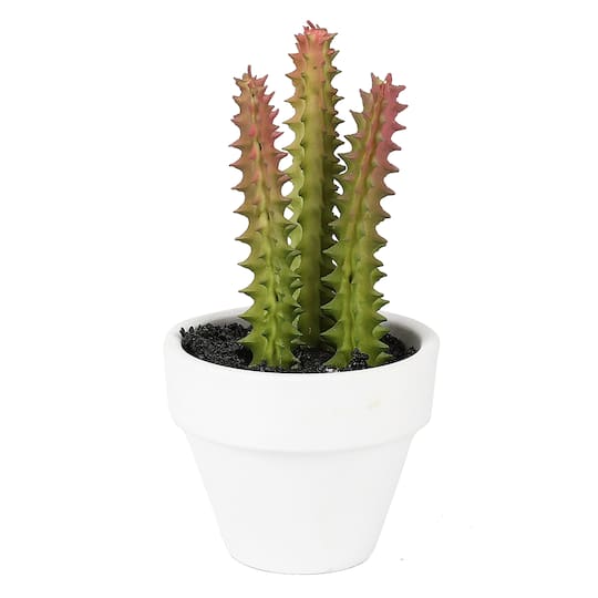 4&#x22; Cactus Plant in White Pot by Ashland&#xAE;